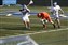 North Cobb JV Lacrosse Team_03 01_0040.JPG